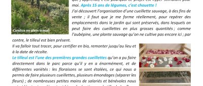  Journal n°54